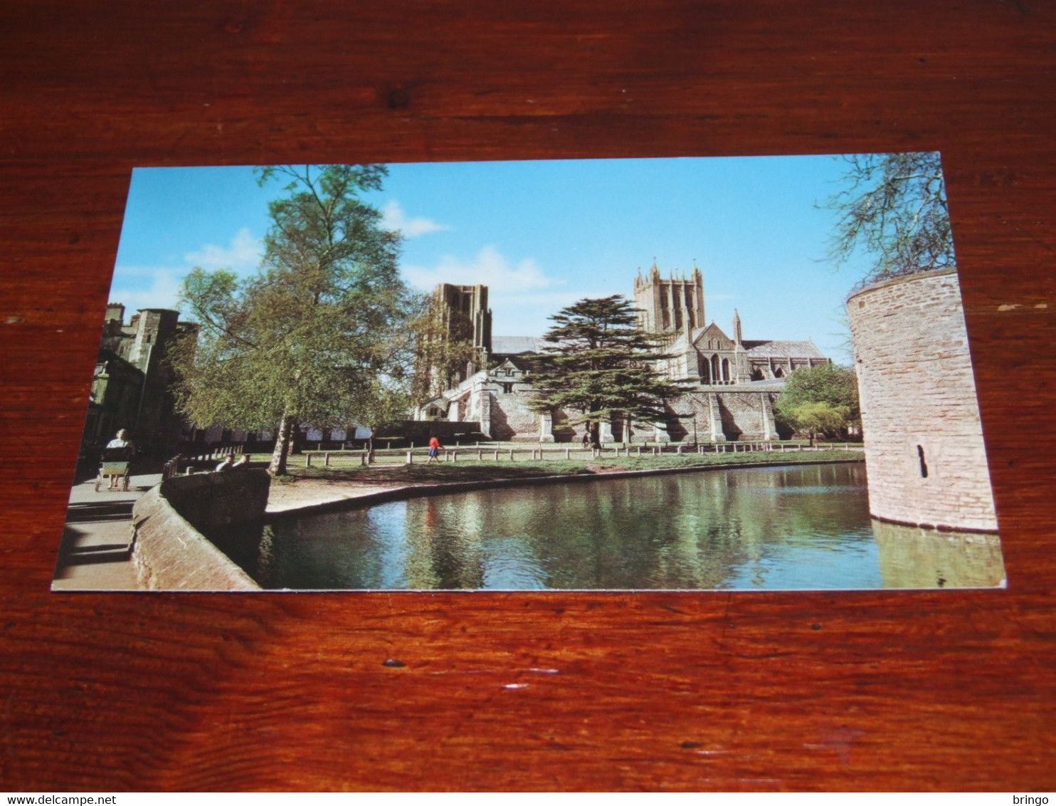 48072-                    THE CATEDRAL AND MOAT, SOMERSET, WELLS - Wells