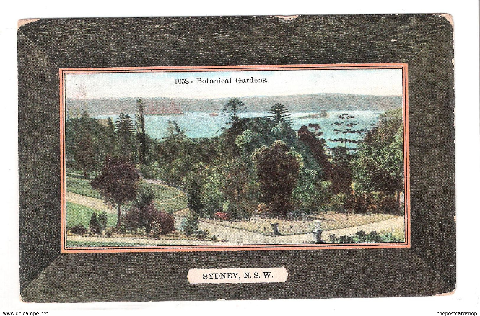 Australia SYDNEY BOTANICAL GARDENS New South Wales TO MR STEELE Y.M.C.A. LEICESTER ENGLAND USED 1909 POSTMARK - Sydney