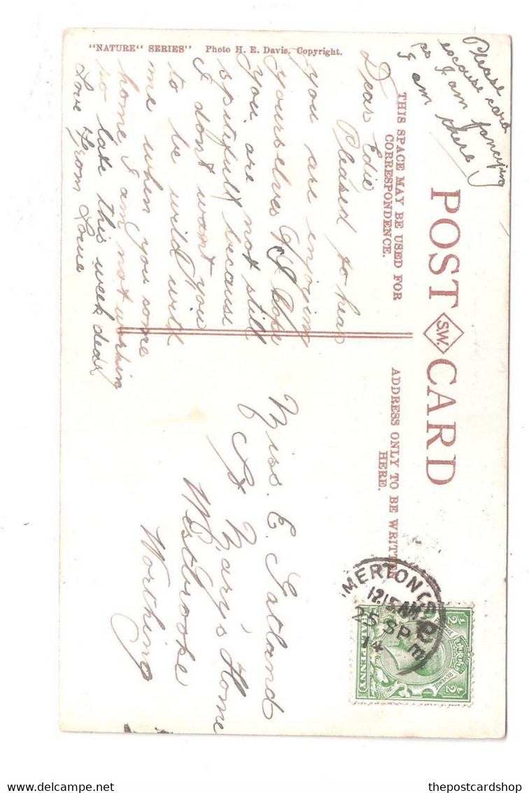 Australia SYDNEY DOUBLE BAY TO MISS E GATLAND ST. MARY'S HOME WESTBROOK WORTHING 1914 POSTMARK - Sydney