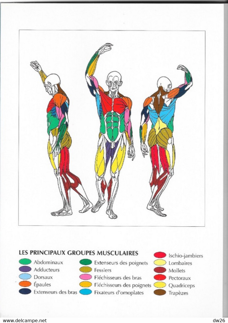 Sports: Livre De Frédéric Delavier - Guide Des Mouvements De Musculation (Approche Anatomique) 1999 - Sport