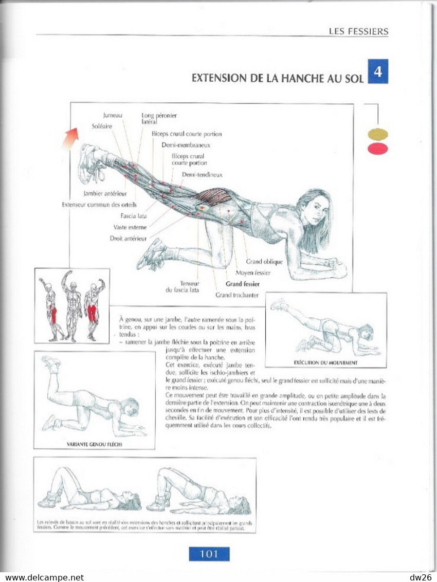 Sport - Sports: Livre de Frédéric Delavier - Guide des mouvements