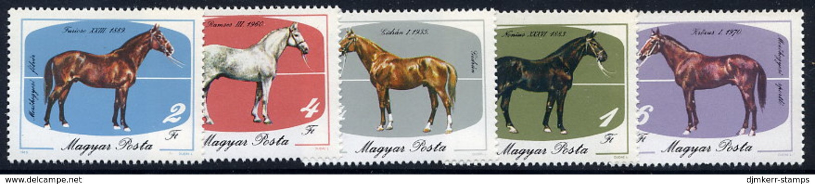 HUNGARY 1985 Horse Breeding  MNH /**.  Michel 3766-70 - Nuevos