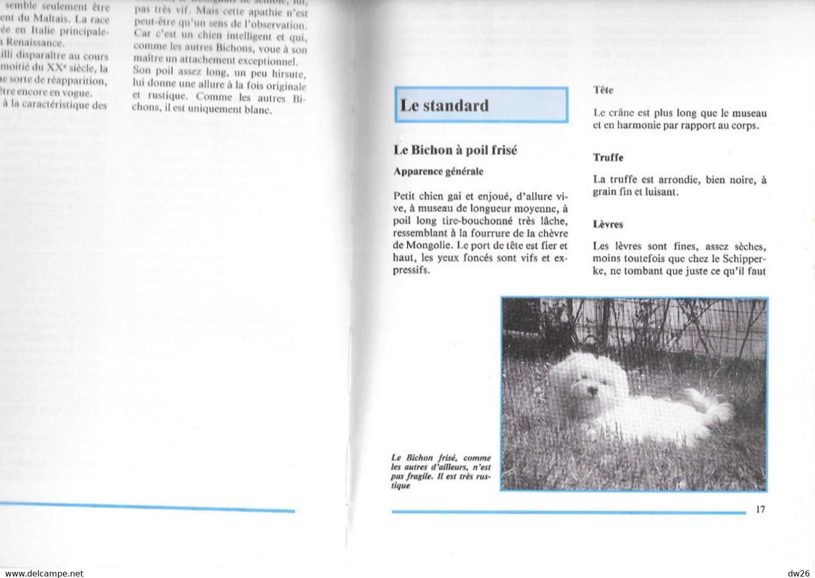 Livre Sur Les Chiens De Catherine Baziret - Les Bichons - Editions De Vecchi 1990 - Dieren