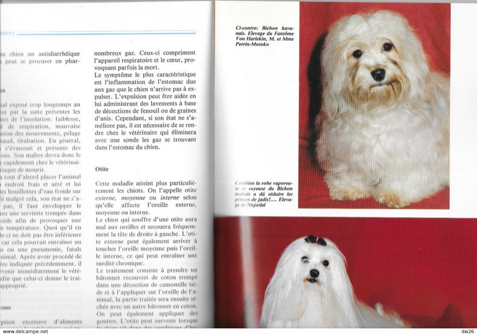 Livre Sur Les Chiens De Catherine Baziret - Les Bichons - Editions De Vecchi 1990 - Animaux