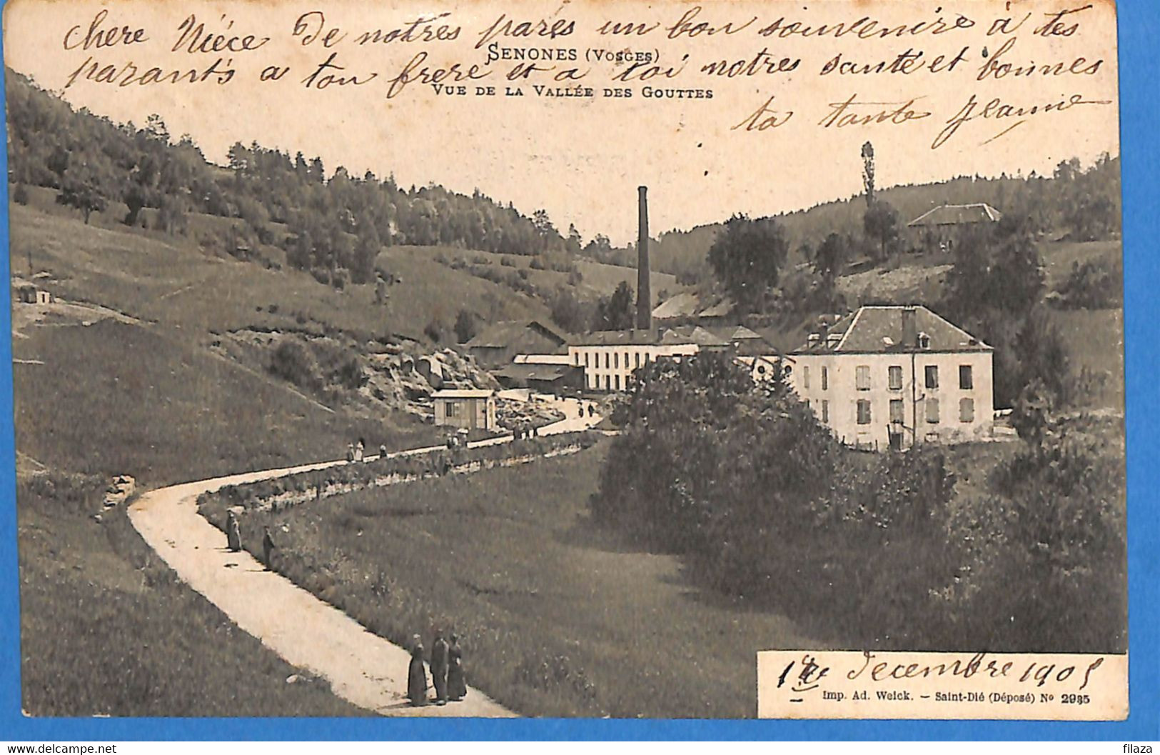 88 - Vosges - Senones - Vue De La Vallee Des Gouttes (N7576) - Senones