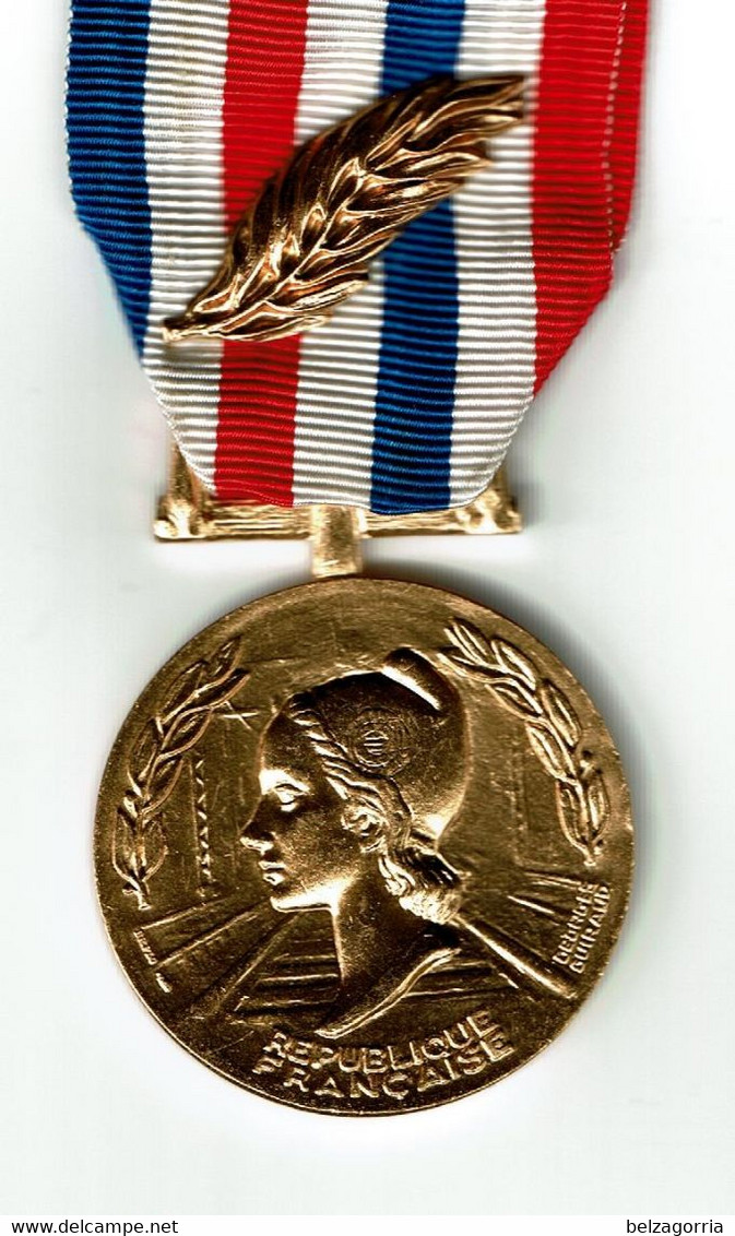 MEDAILLE D' HONNEUR DES CHEMINS DE FER Avec PALME Doré  -  1988  -  Nominative -  VOIR SCANS - Professionnels / De Société