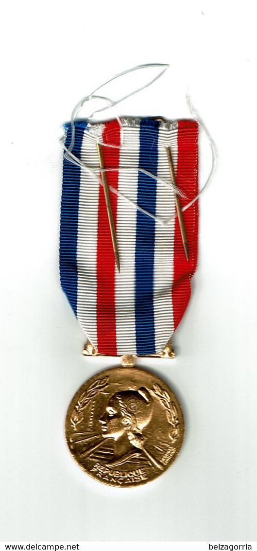 MEDAILLE D' HONNEUR DES CHEMINS DE FER  - Doré  -  1985  -  Nominative -  VOIR SCANS - Professionnels / De Société