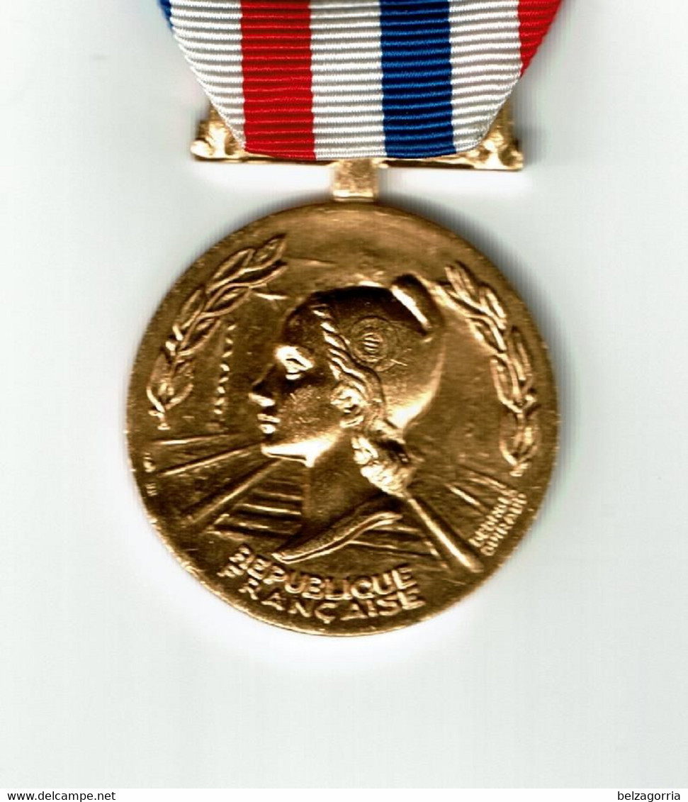 MEDAILLE D' HONNEUR DES CHEMINS DE FER  - Doré  -  1985  -  Nominative -  VOIR SCANS - Professionnels / De Société