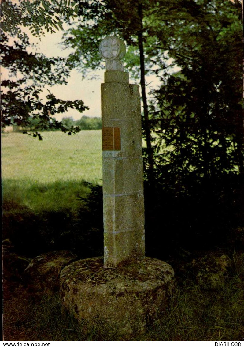 LES LUCS-SUR-BOULOGNE      ( VENDEE )    STELE DE L ' ABBE VOYNEAU , CURE DU PETIT LUC - Les Lucs Sur Boulogne