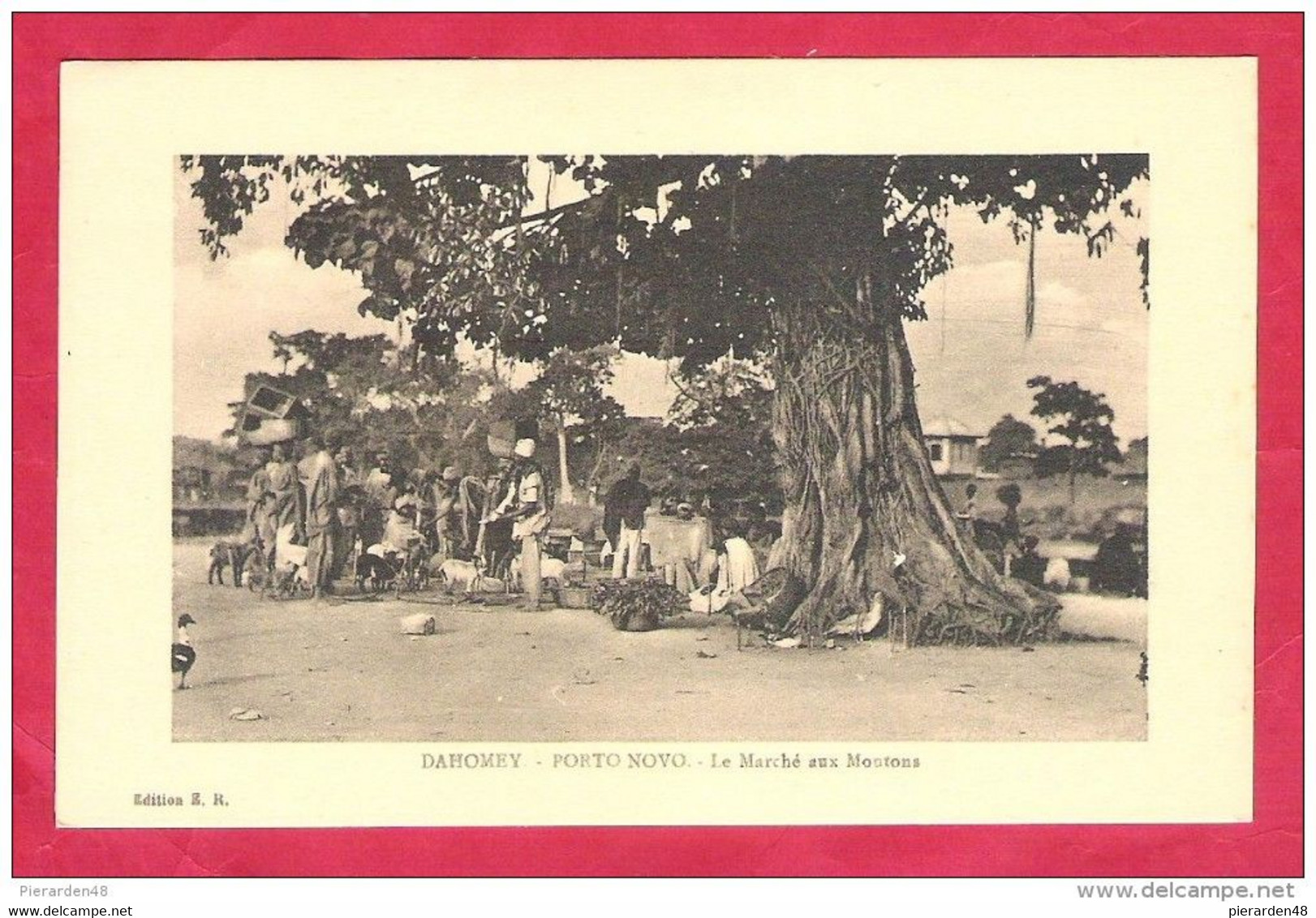 Afrique-Porto Novo-le Marché Aux Moutons-TB Cpa Non écrite - Dahomey