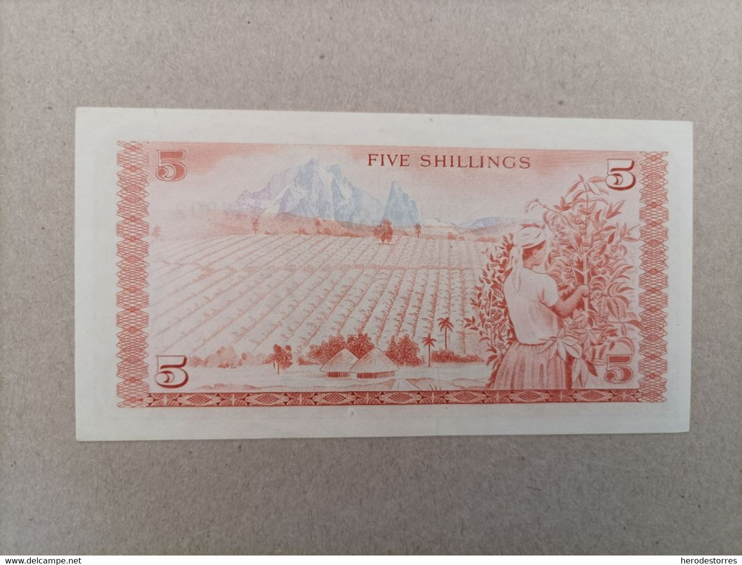 Billete De Kenia De 5 Schilings, Año 1975, UNC - Kenya