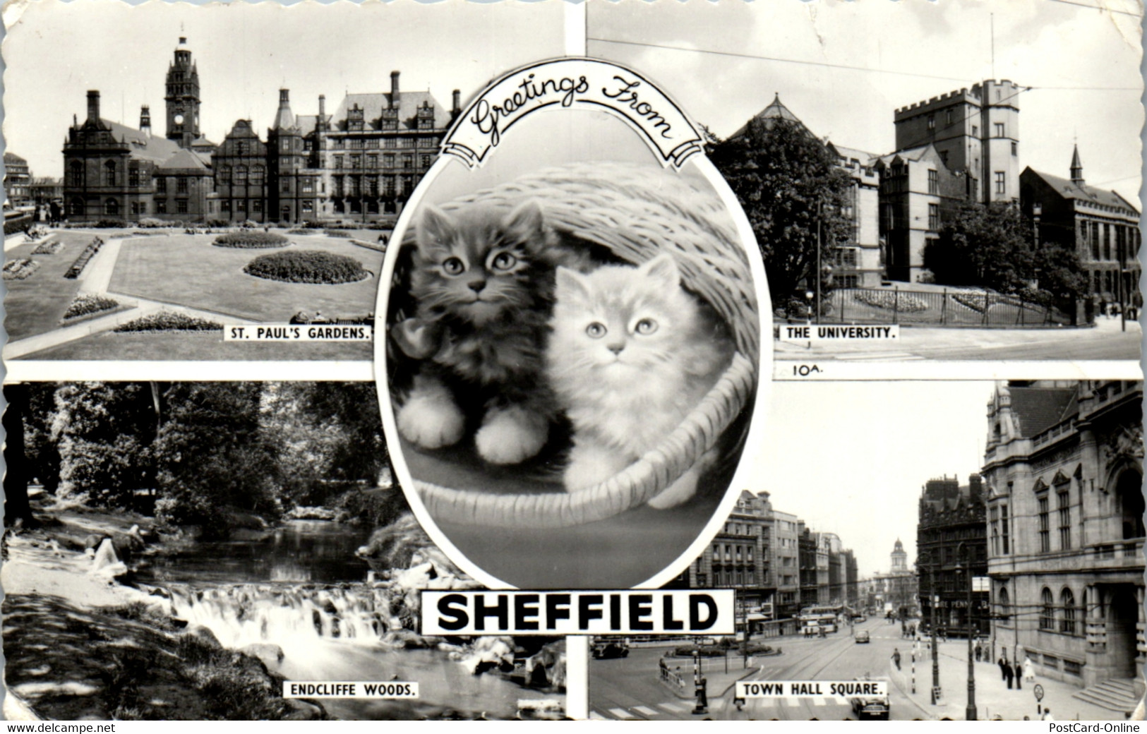 33918 - Großbritannien - Sheffiled , St. Paul's Gardens , University , Endcliffe Woods , Town Hall Square , Mehrbildkart - Sheffield