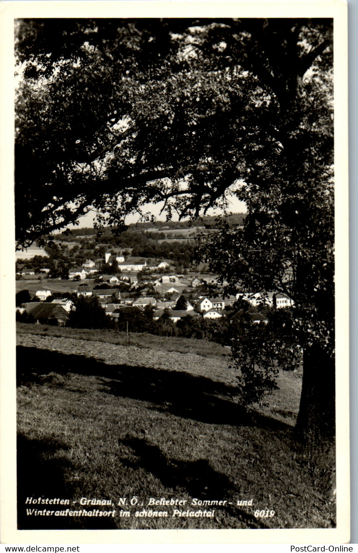 33959 - Niederösterreich - Hofstetten , Grünau , Pielachtal , Panorama - Nicht Gelaufen - St. Pölten