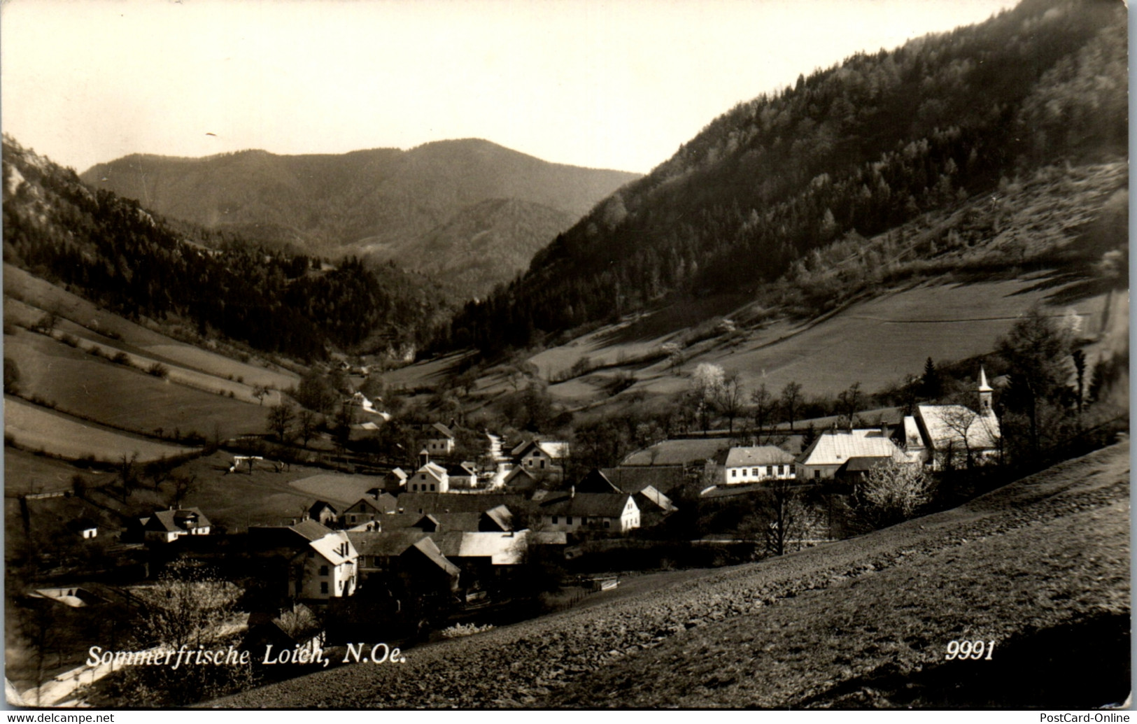 34615 - Niederösterreich - Loich , Panorama - Gelaufen 1955 - St. Pölten