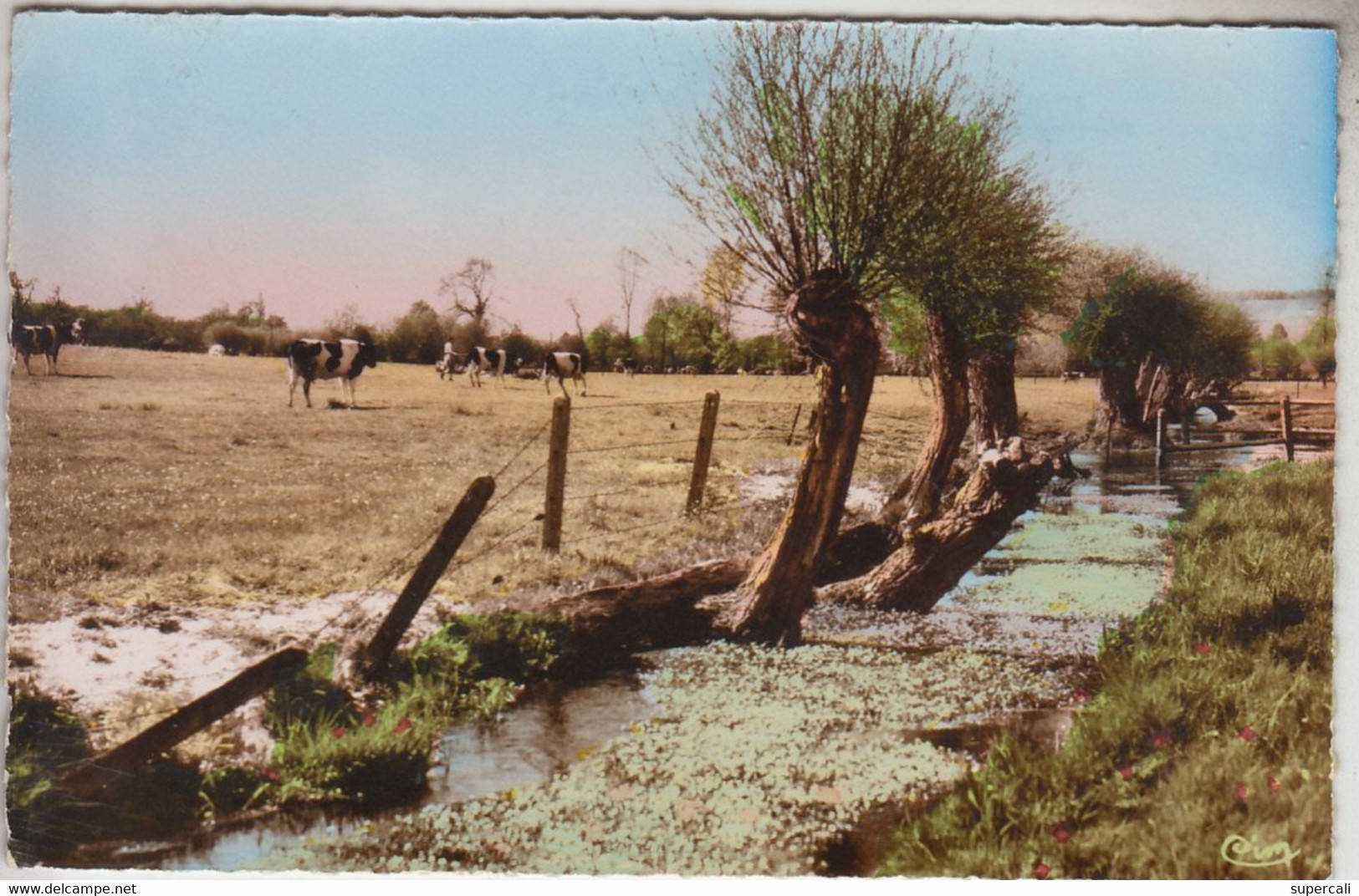 RT34.247   SEINE - MARITIME LONDINIERES .LES BORDS DE L'AULNE - Londinières