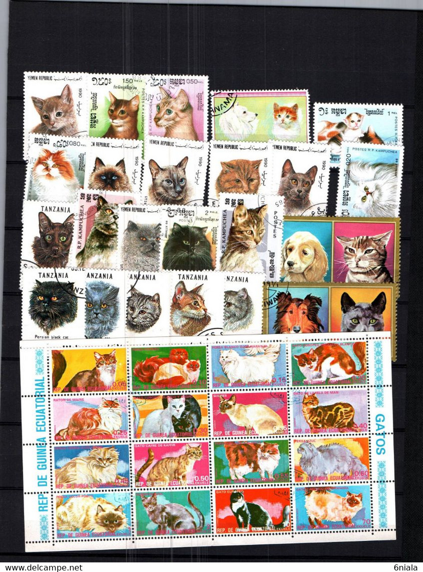 7658 Lot De TIMBRES  CHATS CHAT   FELIN Gatos - Hauskatzen