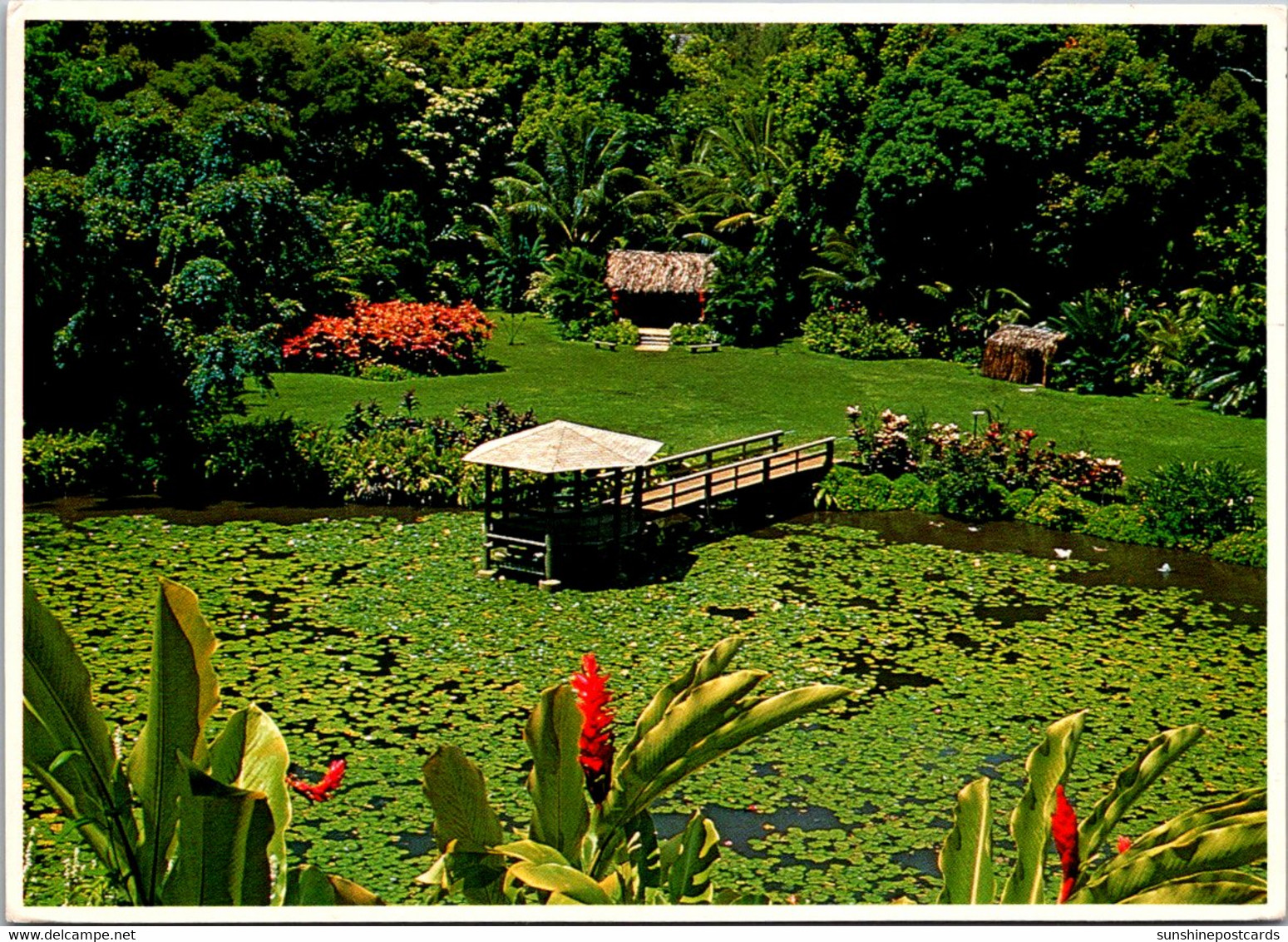 Hawaii Oahu Scene In Haiko Gardens 1983 - Oahu