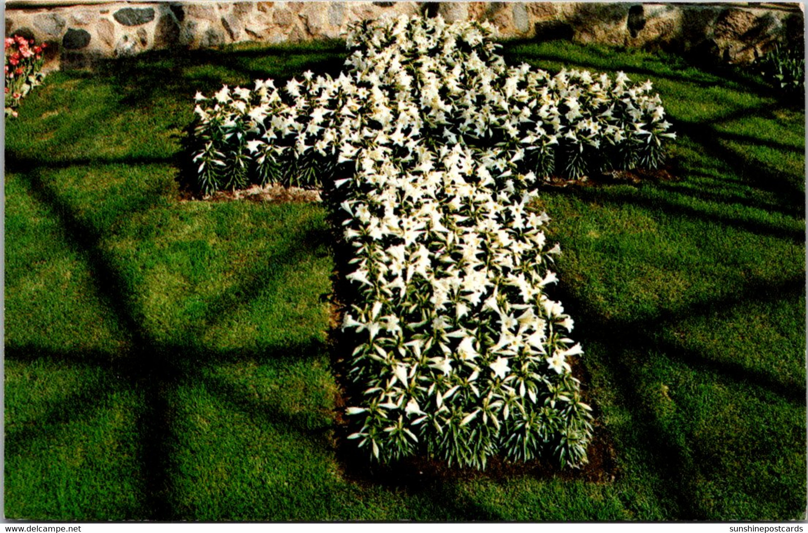 Wisconsin Milwaukee Mitchell Park Horticultural Conservatory Easter Show Cross Of Easter Lily Blooms - Milwaukee