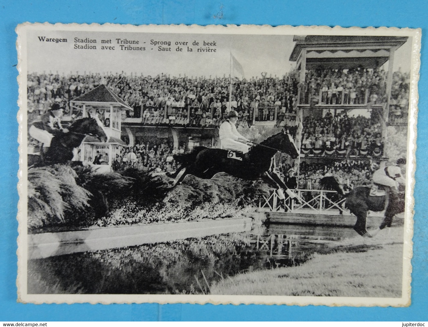 Waregem Stadion Met Tribune Sprong Over De Beek (équitation, Course De Chevaux) - Waregem