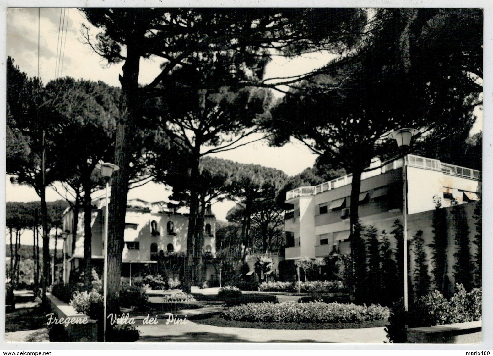 FREGENE     VILLA   DEI  PINI    2 SCAN   (VIAGGIATA) - Fiumicino