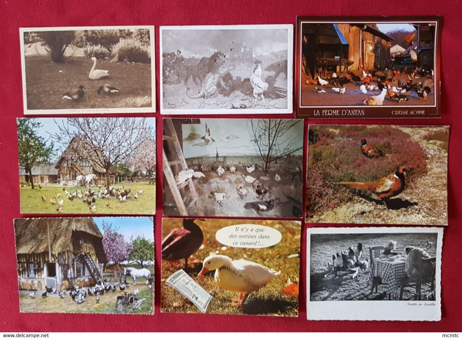 31 Cartes - Ferme Agricole - Agriculteur -Basse Cour - Poules, Coqs, Canards - Poule, Coq, Canard, Volaille, Elevage - Veeteelt