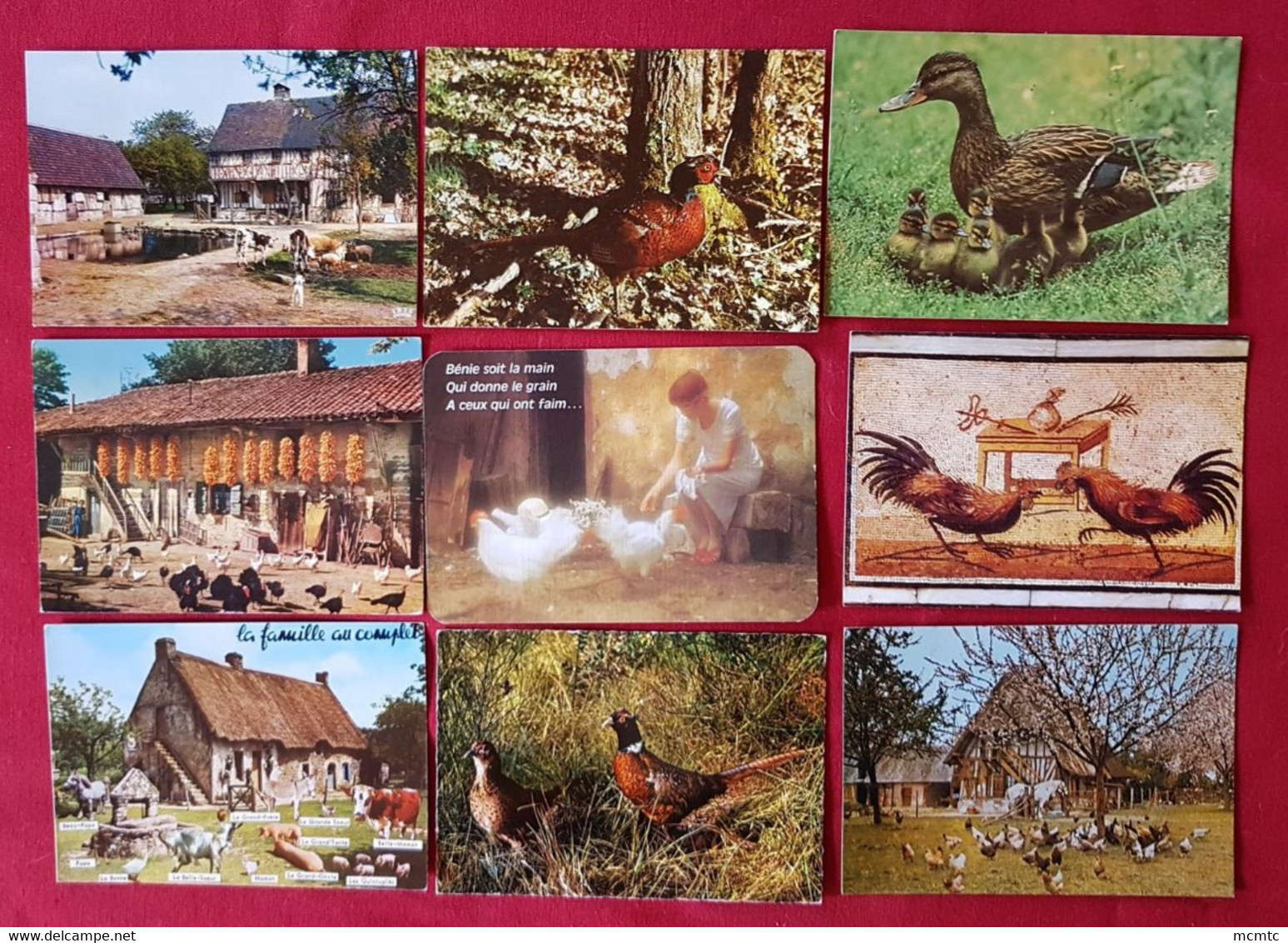 31 Cartes - Ferme Agricole - Agriculteur -Basse Cour - Poules, Coqs, Canards - Poule, Coq, Canard, Volaille, Elevage - Breeding