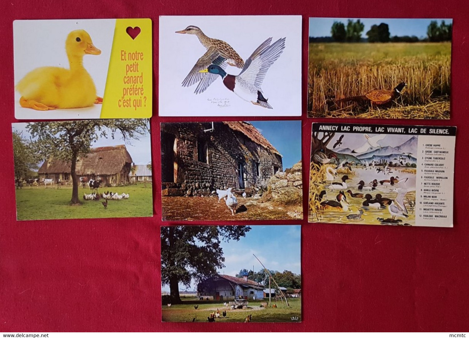 31 Cartes - Ferme Agricole - Agriculteur -Basse Cour - Poules, Coqs, Canards - Poule, Coq, Canard, Volaille, Elevage - Viehzucht