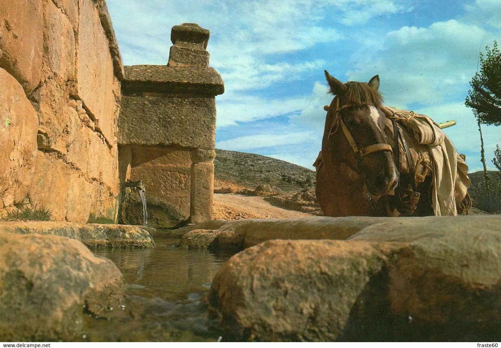 Berge - Detalle De La Fuente - Teruel