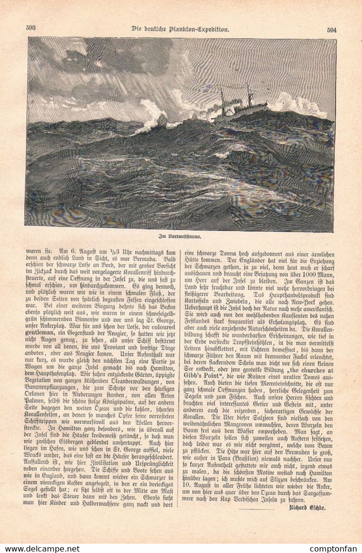A102 1127 Victor Hensen Plankton-Expedition Forschungsreise Artikel / Bilder 1889 !! - Otros & Sin Clasificación