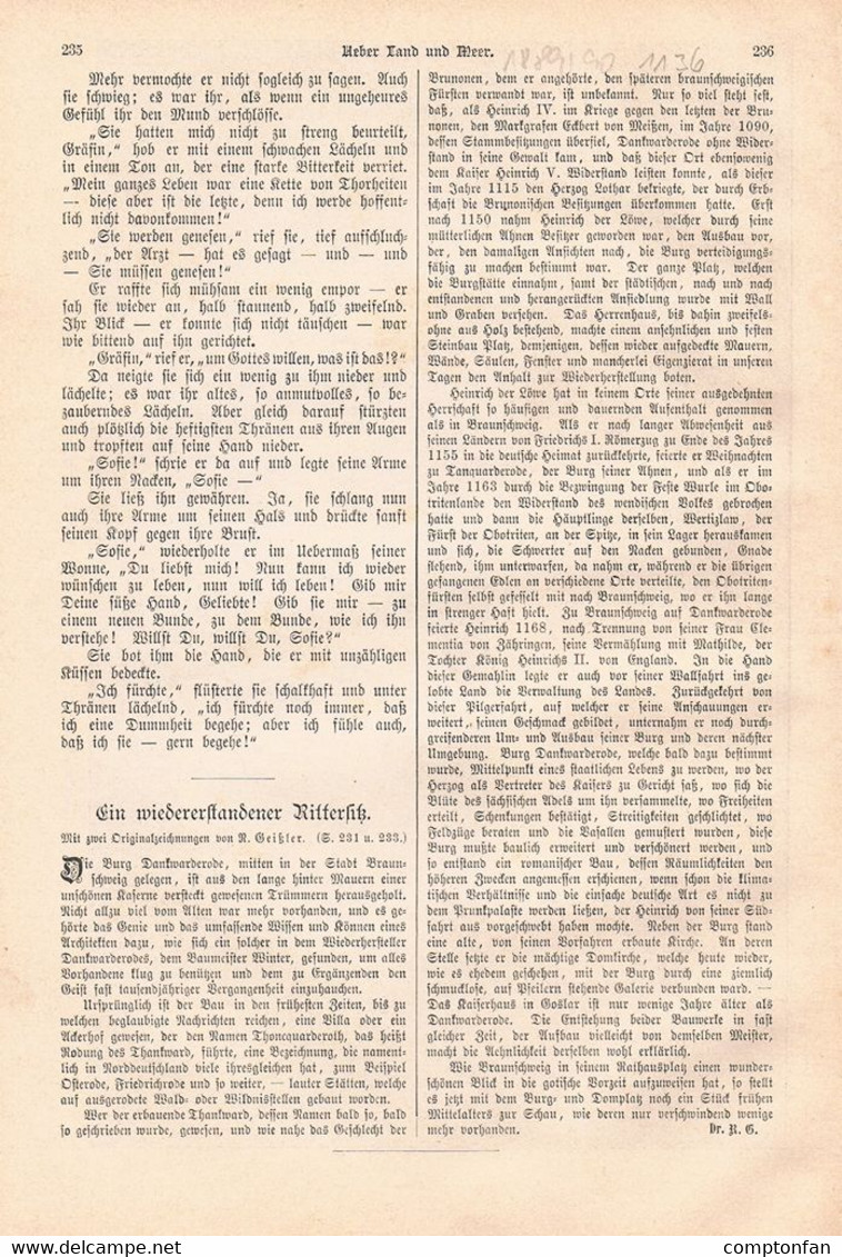 A102 1136 Braunschweig Burg Dankwarderode Artikel / Bilder 1889 !! - Autres & Non Classés