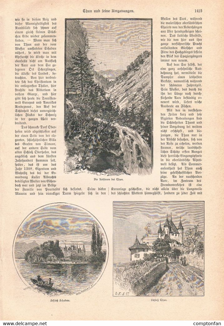 A102 1167 Thun Und Umgebung Schloss Thun Schloss Schadau Artikel / Bilder 1887 !! - Autres & Non Classés