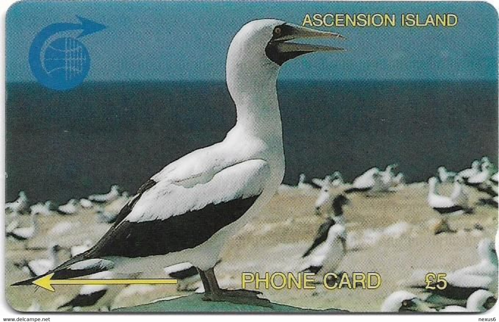 Ascension Island - C&W - GPT - 5CASA - White Booby Bird, 1994, 5.000ex, Used - Ascension (Ile De L')