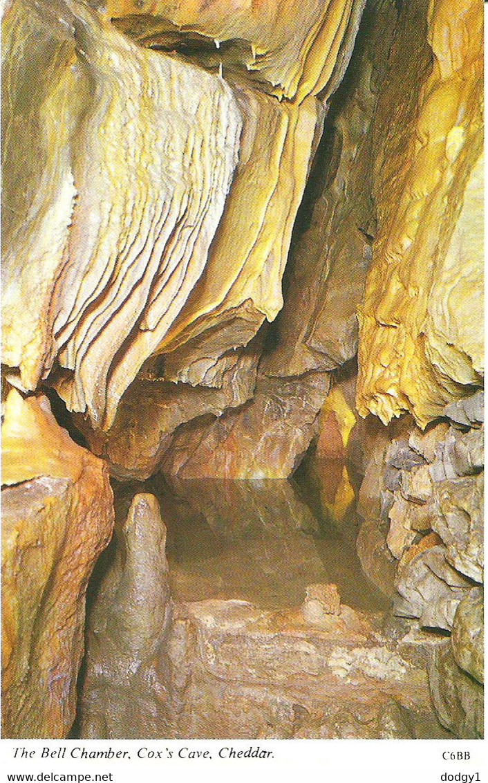 THE BELL CHAMBER, COX'S CAVE, CHEDDAR, SOMERSET, ENGLAND. UNUSED POSTCARD Lg1 - Cheddar