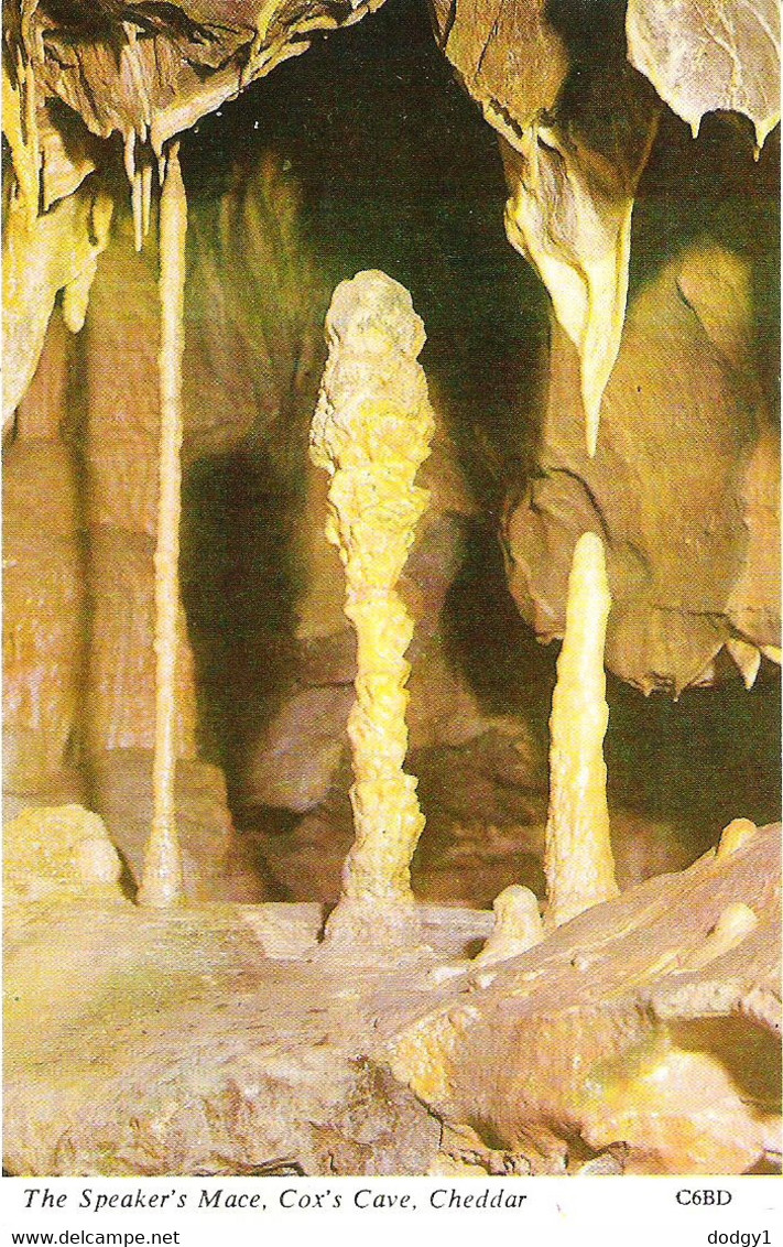 THE SPEAKER'S MACE, COX'S CAVE, CHEDDAR, SOMERSET, ENGLAND. UNUSED POSTCARD Lg1 - Cheddar