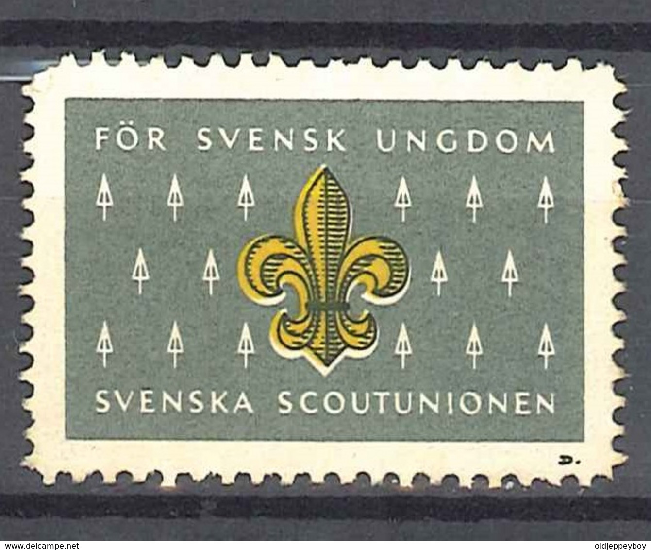 Sweden Svenska Scoutunionen Poster Stamp Vignette Viñeta Scouts Cinderella - Nuovi