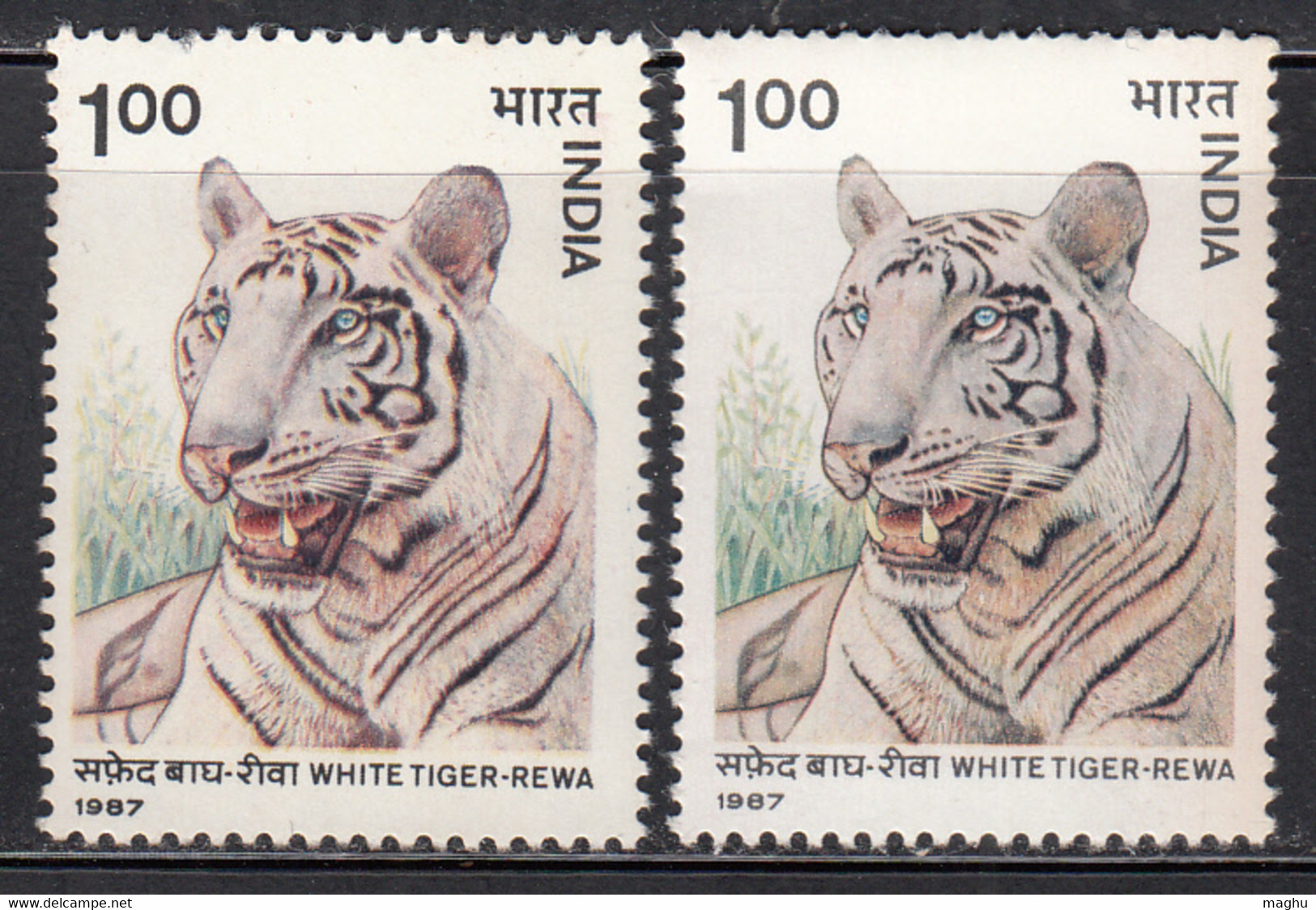 EFO, (Error, Odd) Clour Variety,  India MNH 1987, Wildlife 1.00r White Tiger, Wild Life, Animal, Cond., Marginal Stains - Errors, Freaks & Oddities (EFO)
