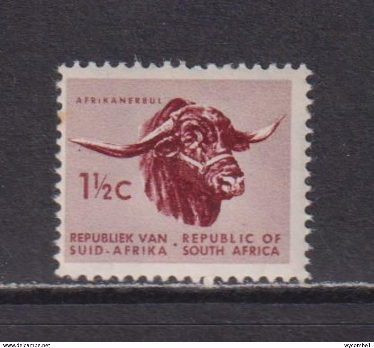 SOUTH AFRICA - 1961 Definitive 11/2c Never Hinged Mint - Neufs