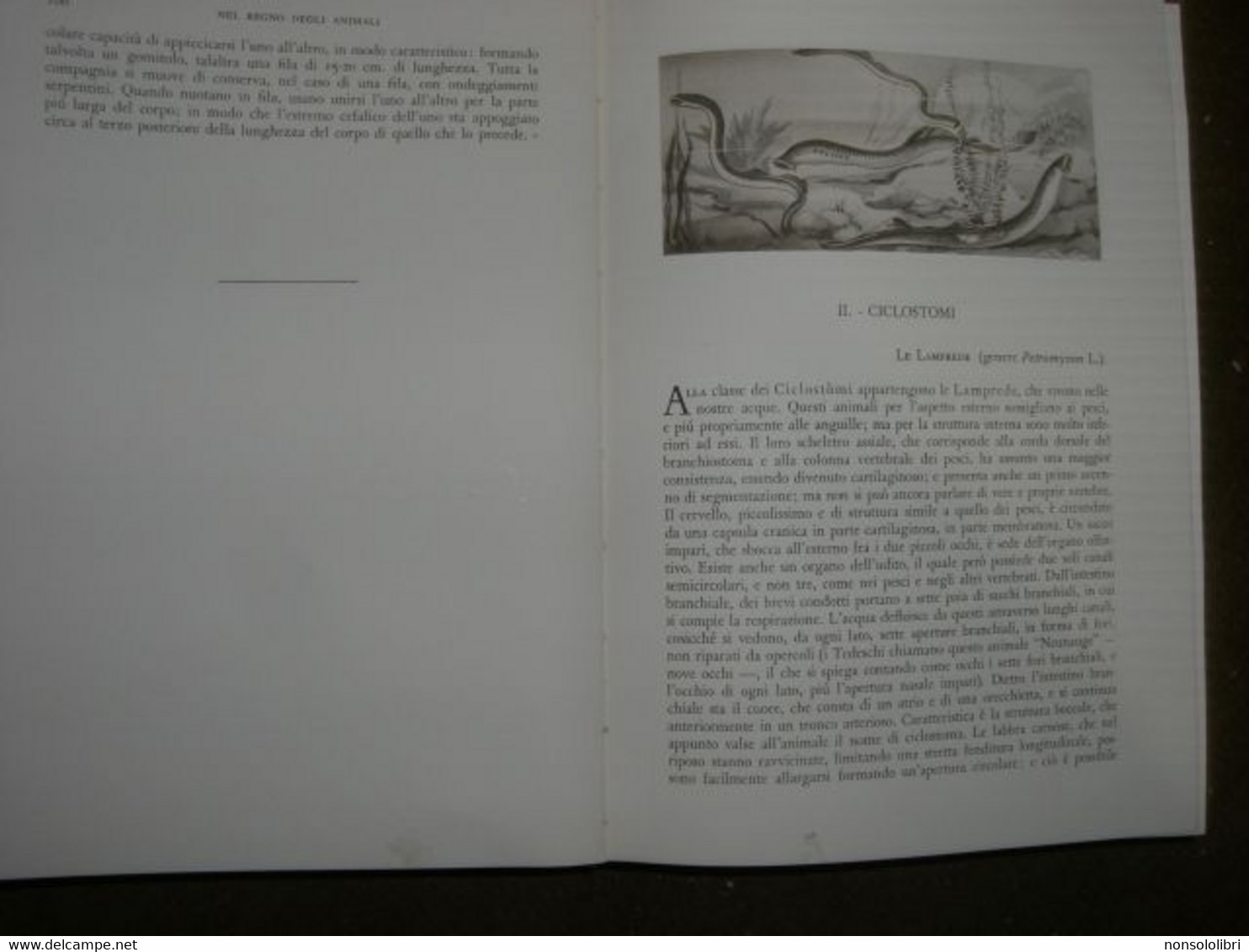 LIBRI CON CUSTODIA "NEL  REGNO DEGLI ANIMALI" BREHM -MONDADORI 1958 - Niños Y Adolescentes