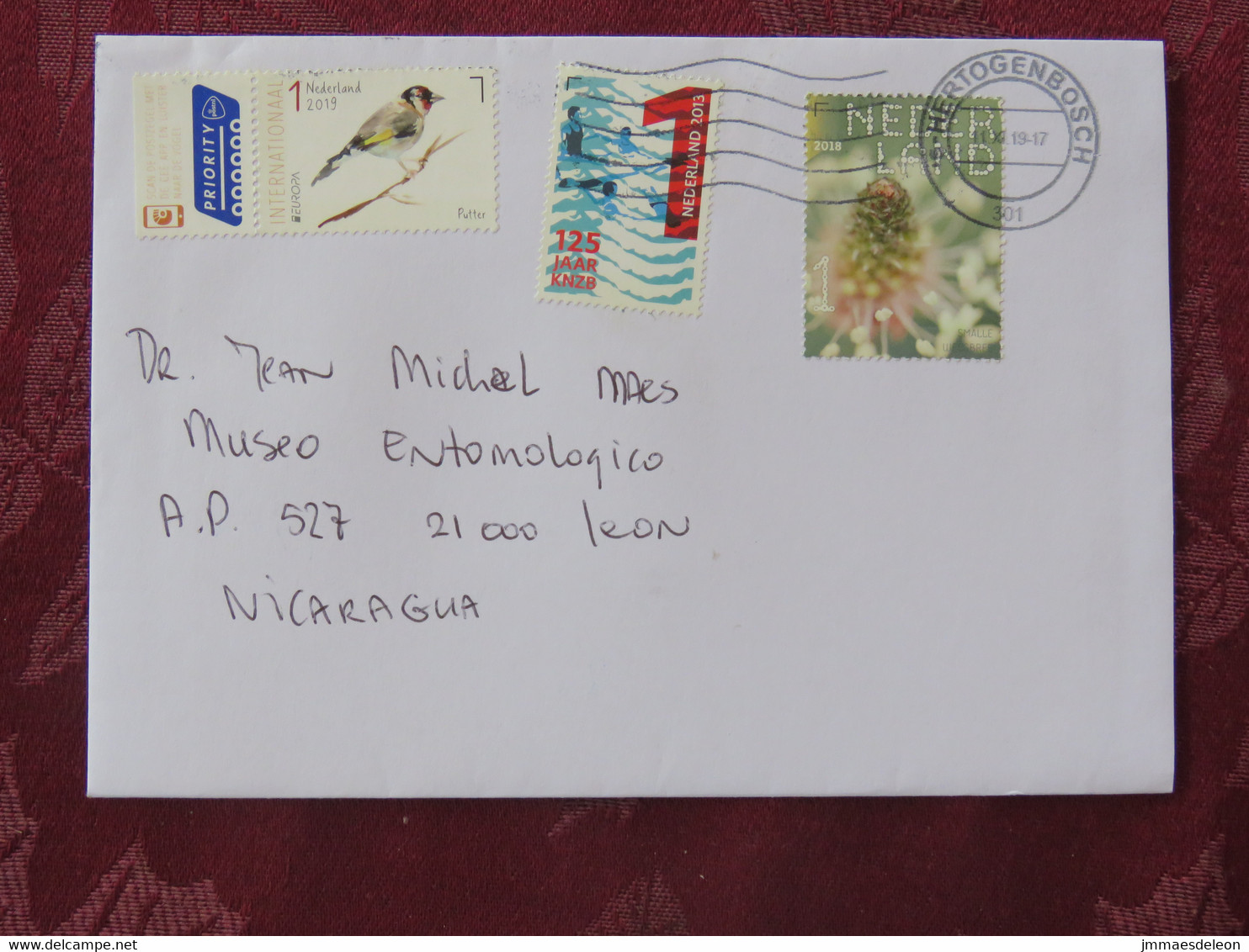 Netherlands 2019 Cover To Nicaragua - Bird - Plant - Swimming - Lettres & Documents