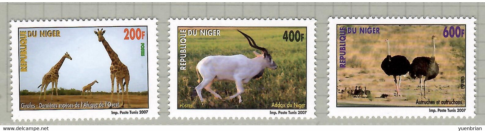 Niger 2007, Bird, Birds, Ostrich, Set Of 3v, MNH** - Struisvogels