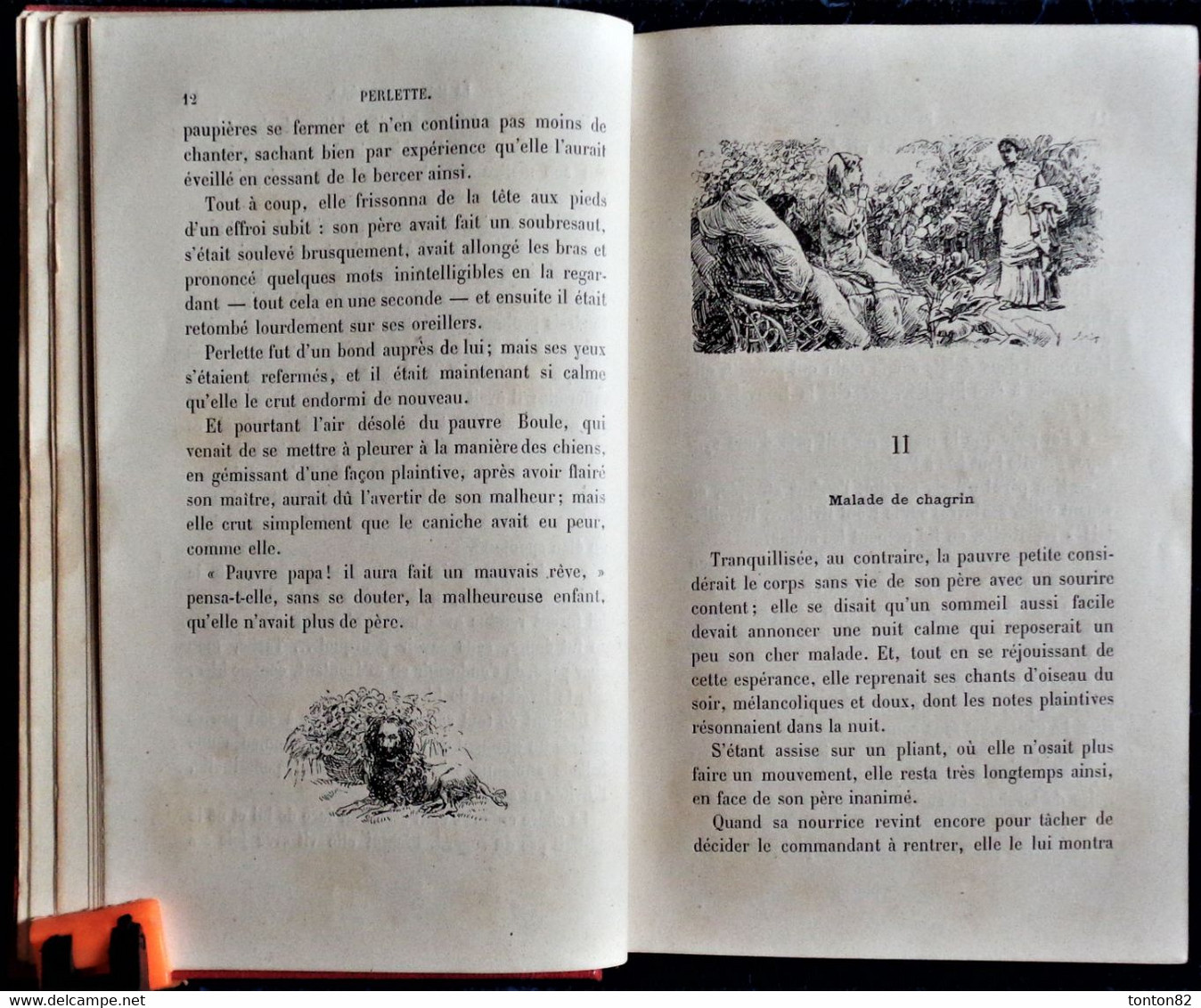 Mme Jeanne Cazin - PERLETTE - Bibliothèque Rose Illustrée - ( 1887 ). - Bibliotheque Rose
