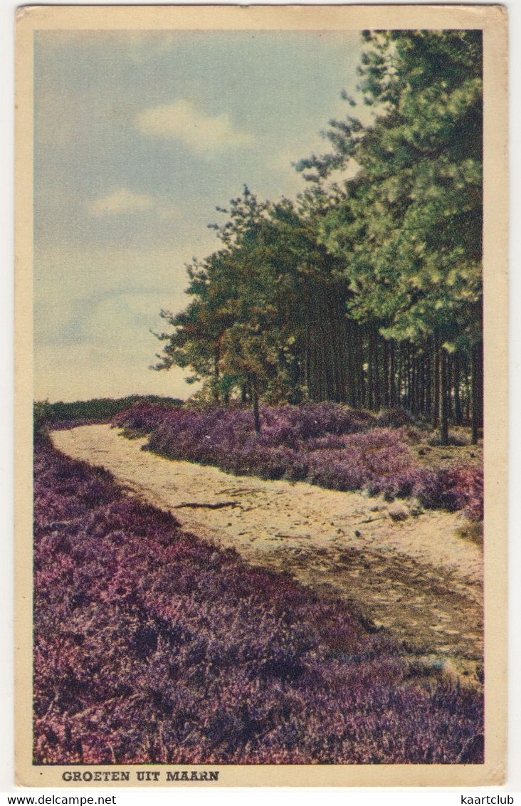 Groeten Uit Maarn - (Utrecht, Nederland / Holland) - 1952 -  Zandpad Over De Heide - Maarn