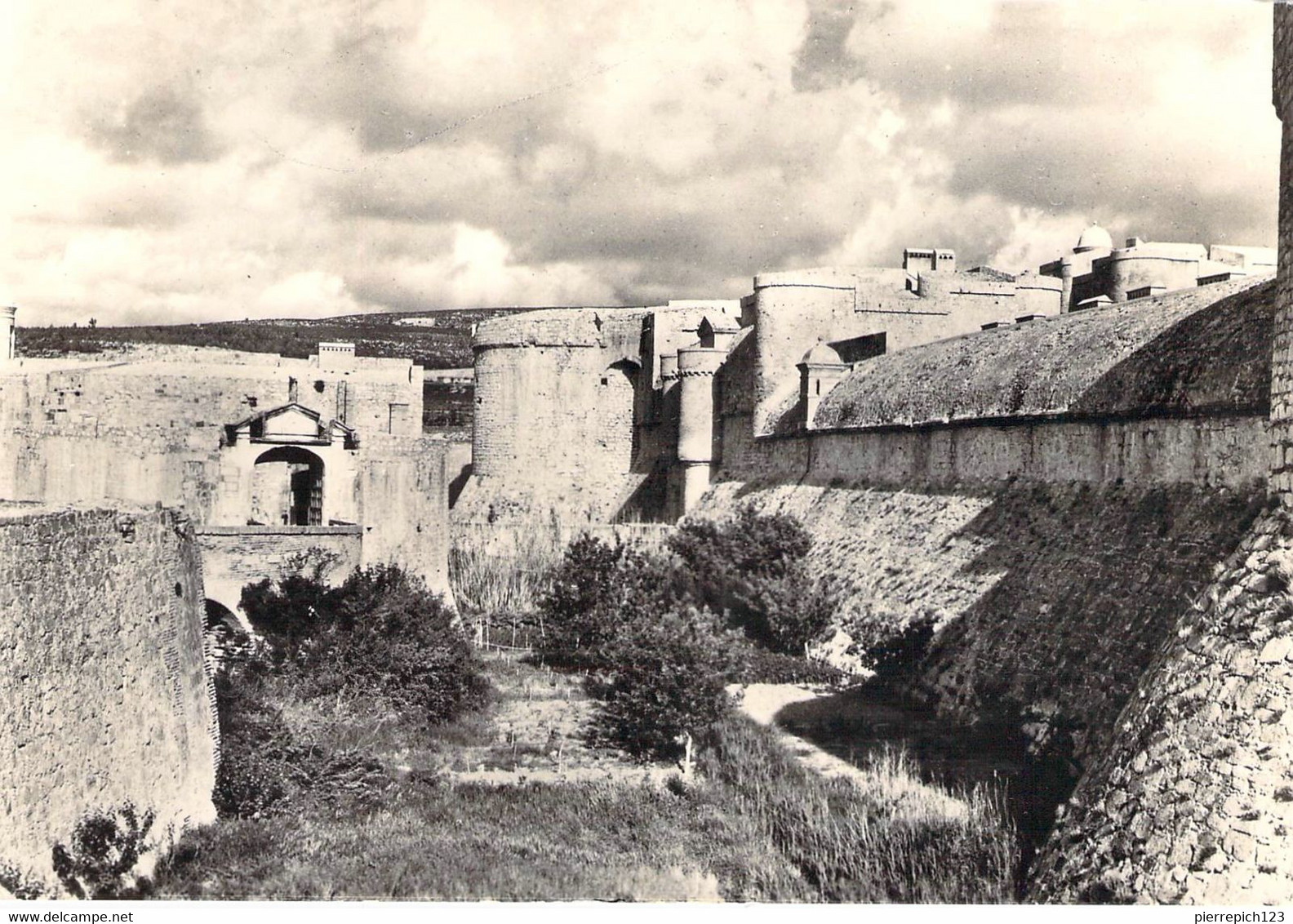 66 - Salses - Le Château - Fossé Sud Et Défenses De L'entrée - Salses