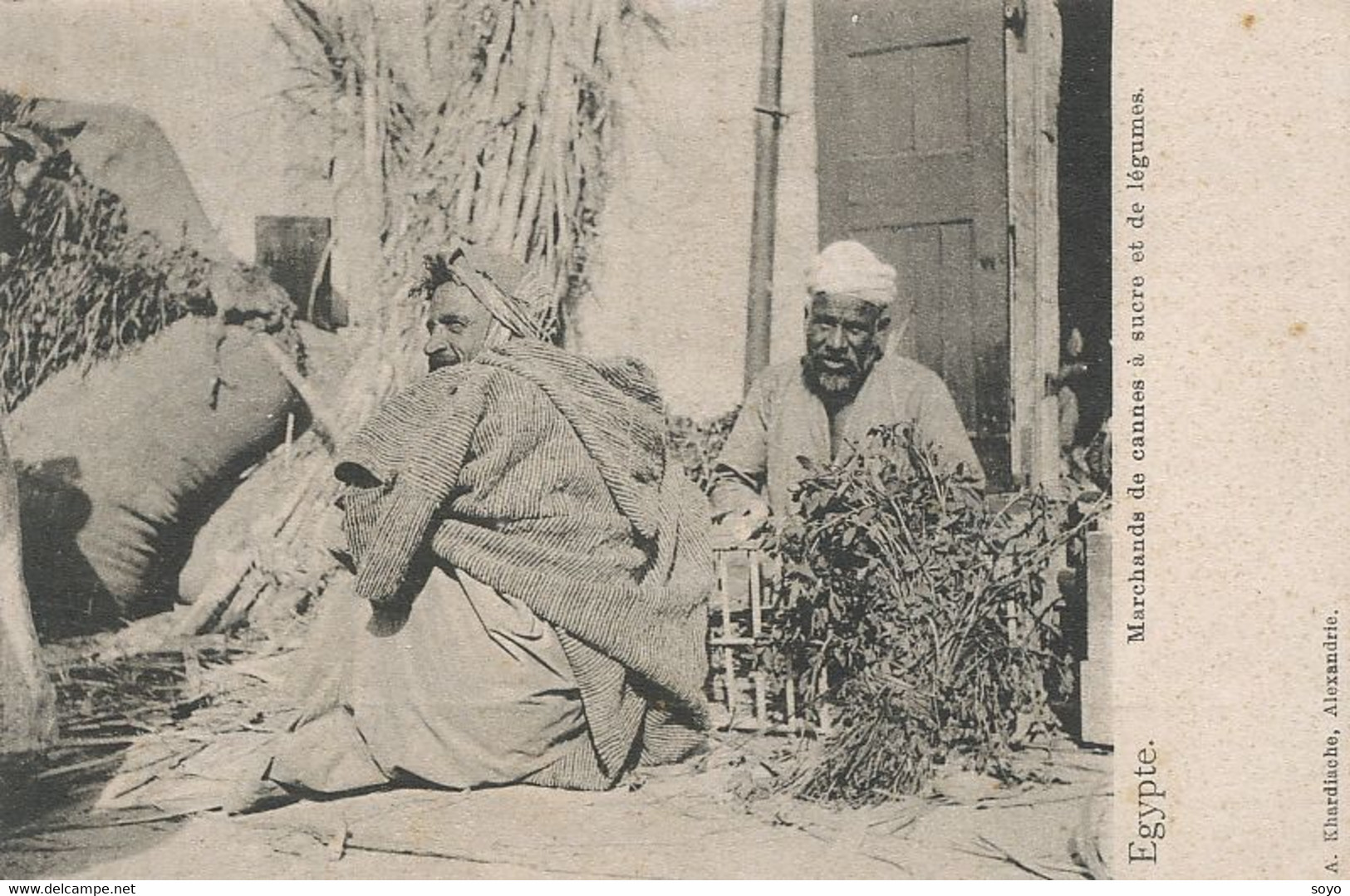 Egypte Marchands De Canne à Sucre Et Legumes Sugar Cane And Vegeteble Vendors Egypt Khardiache Alexandrie - Händler