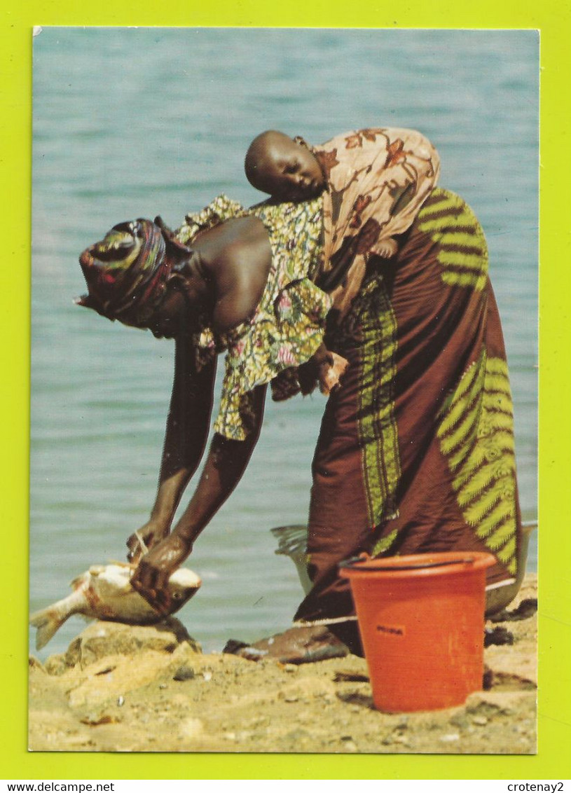 Côte D'Ivoire Jeune Femme Nettoyant Un Poisson En Portant Son Bébé Travaux Journaliers En 1986 - Côte-d'Ivoire