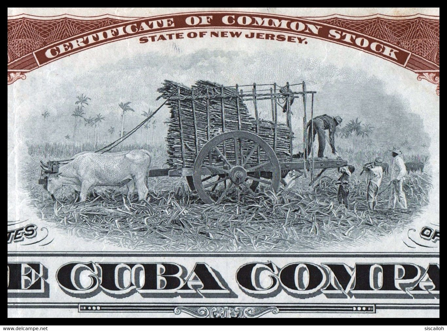 1928 New Jersey: The Cuba Company - Sugar Cane Vignette - Agriculture