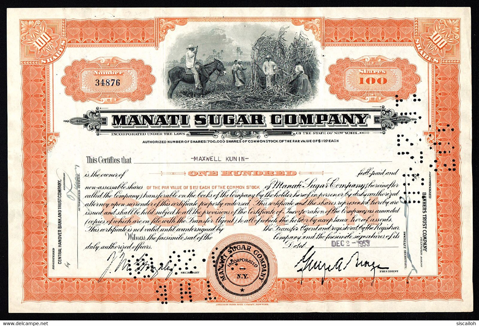 1953 New York: Manati Sugar Company - Sugar Cane Vignette - Agriculture