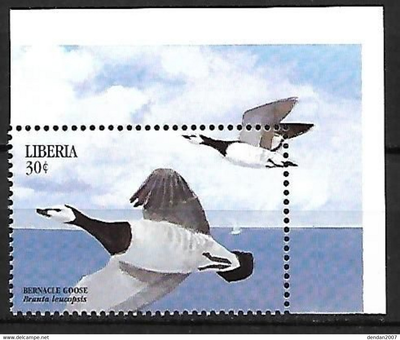 Liberia - MNH ** 1999 :  Barnacle Goose -   Branta Leucopsis - Gansos