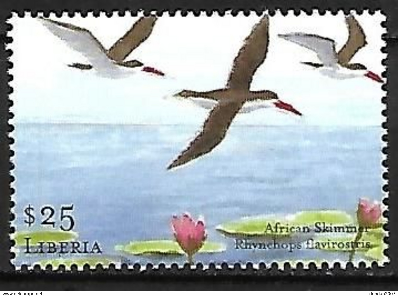 Liberia - MNH ** 2001 :    African Skimmer   - Rynchops Flavirostris - Seagulls