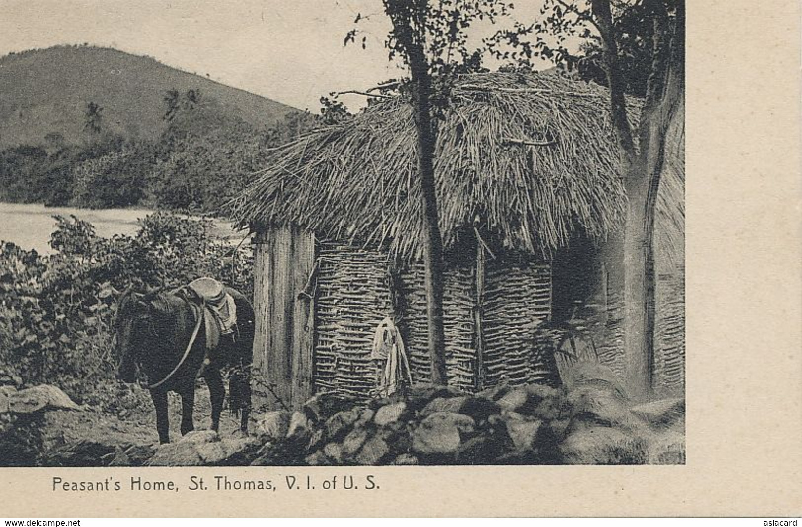 Peasant ' S Home St Thomas V.I. Of U.S. - Vierges (Iles), Amér.